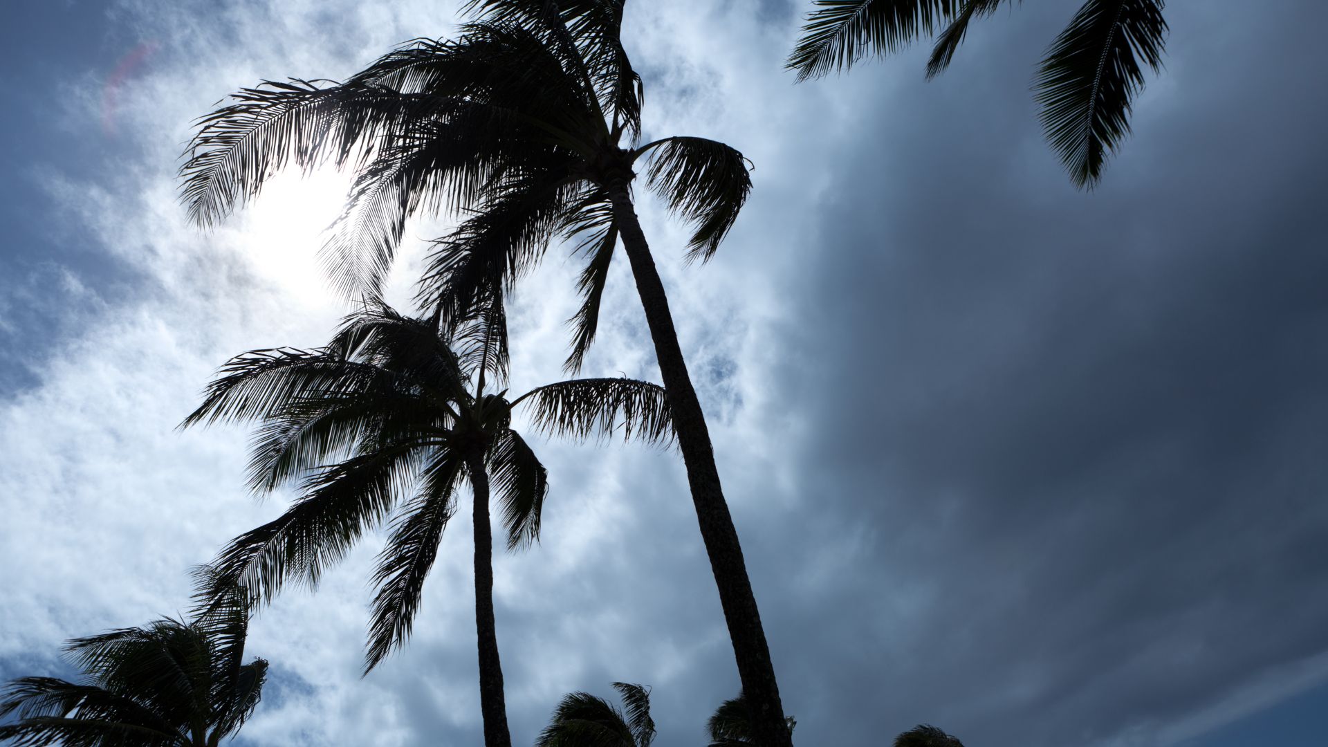 hurricane prep in Venice florida